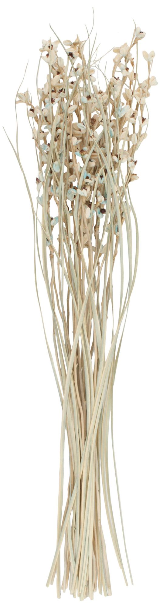 Image 5 Cream Dried Plant French Country Natural Foliage, 7" x 7" x 41" more views