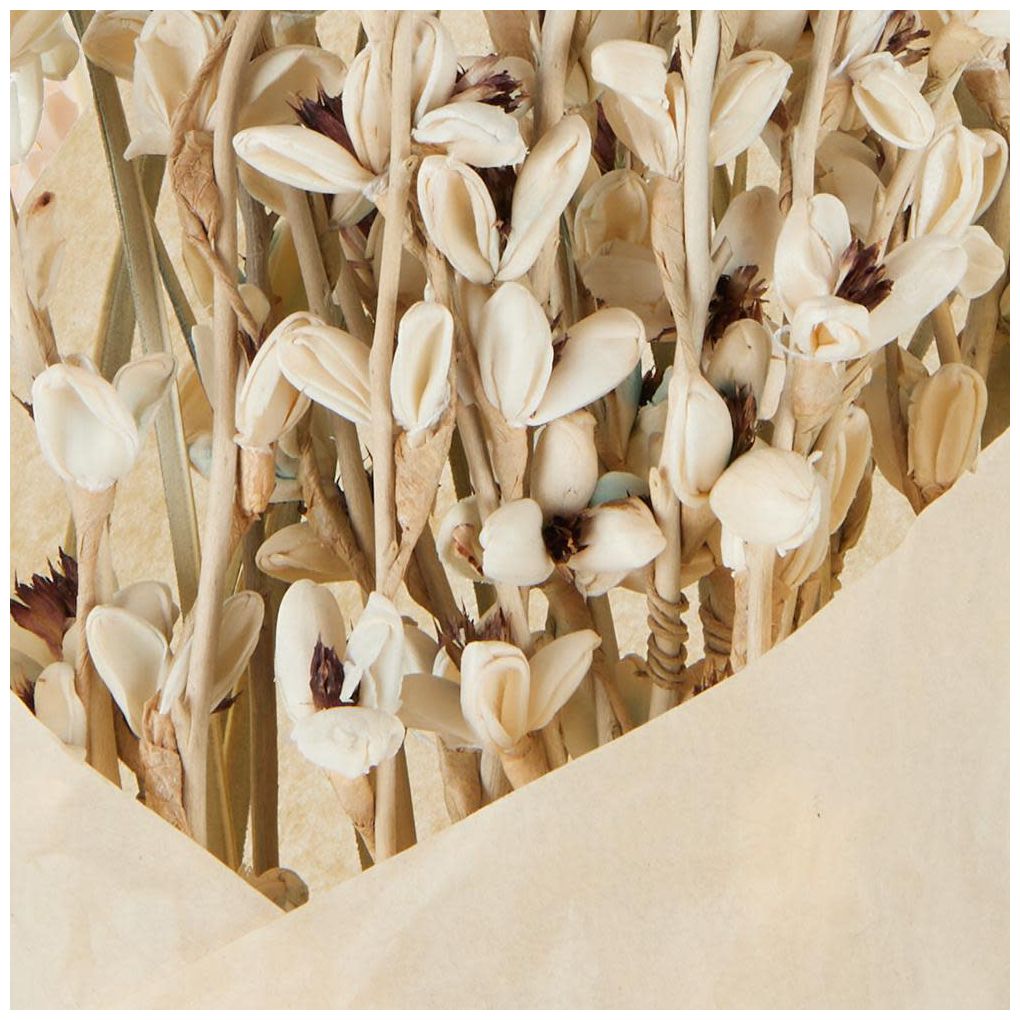 Cream Dried Plant French Country Natural Foliage, 7" x 7" x 41"