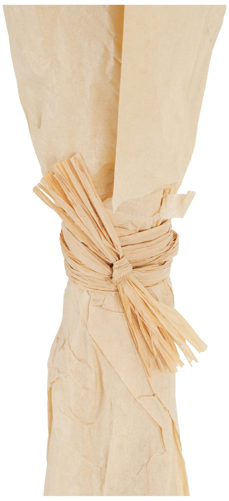 Image 3 Cream Dried Plant French Country Natural Foliage, 8" x 8" x 41" more views