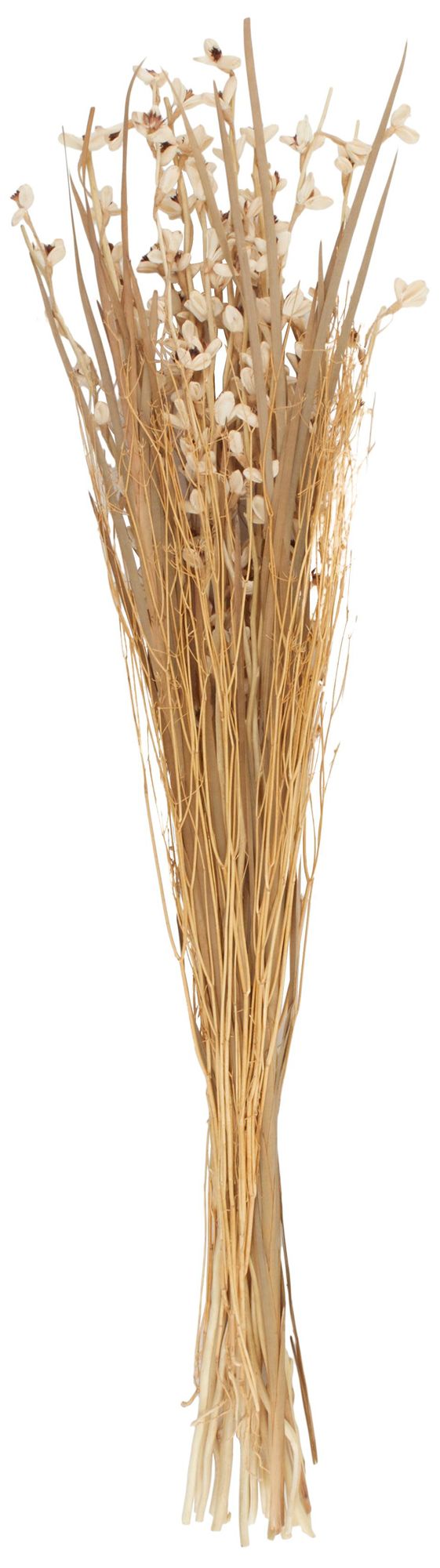 Image 5 Cream Dried Plant French Country Natural Foliage, 8" x 8" x 41" more views