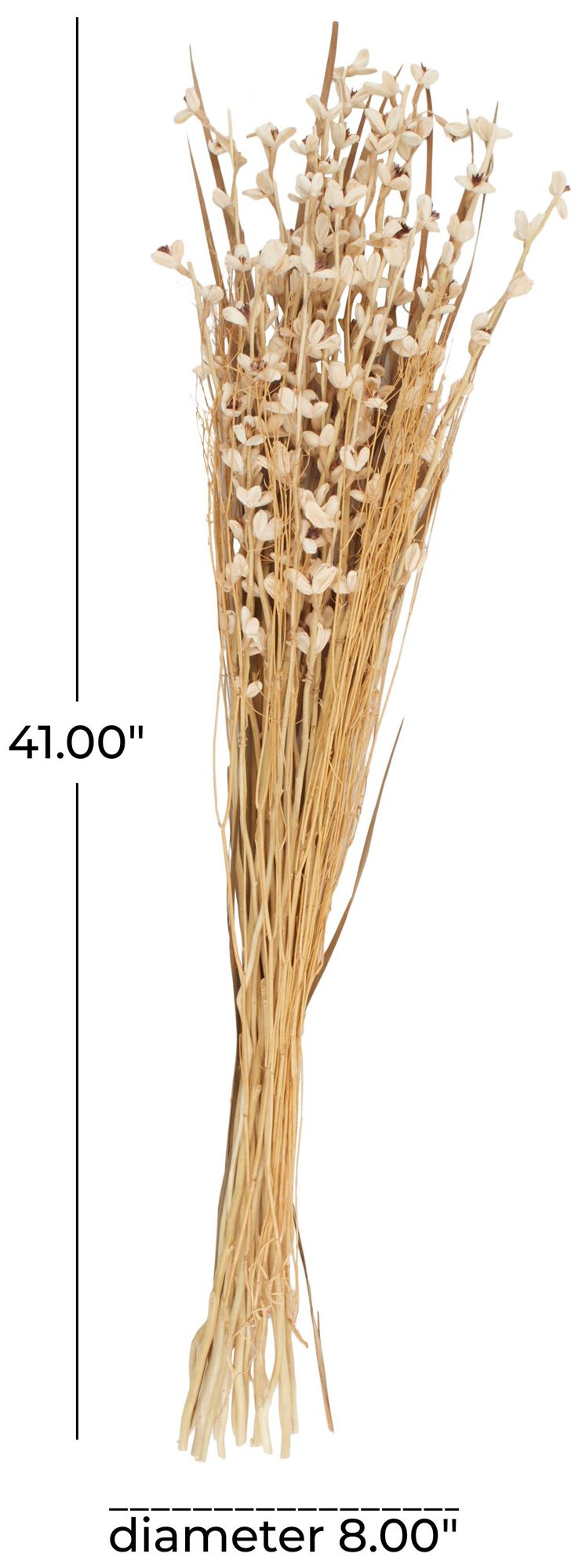 Image 7 Cream Dried Plant French Country Natural Foliage, 8" x 8" x 41" more views