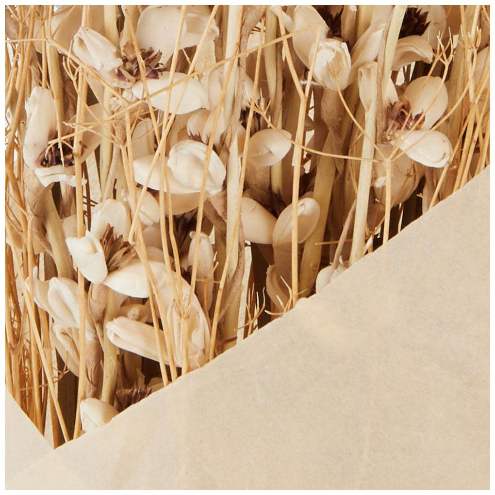 Cream Dried Plant French Country Natural Foliage, 8" x 8" x 41"