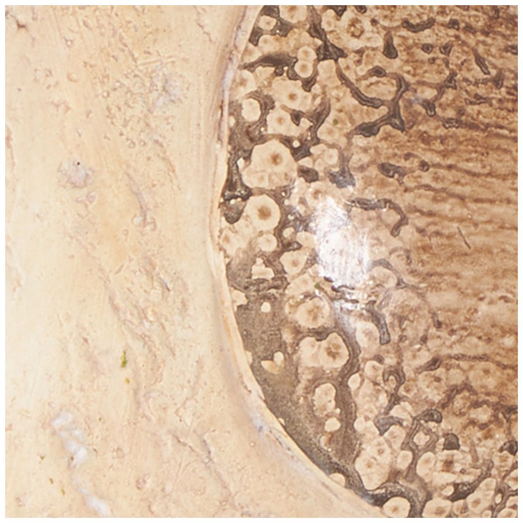 Cream Magnesium Oxide Farmhouse Garden Sculpture, 13" x 7" x 9"