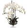 Cream Orchids in Clear Glass Vase 25" High Faux Flowers