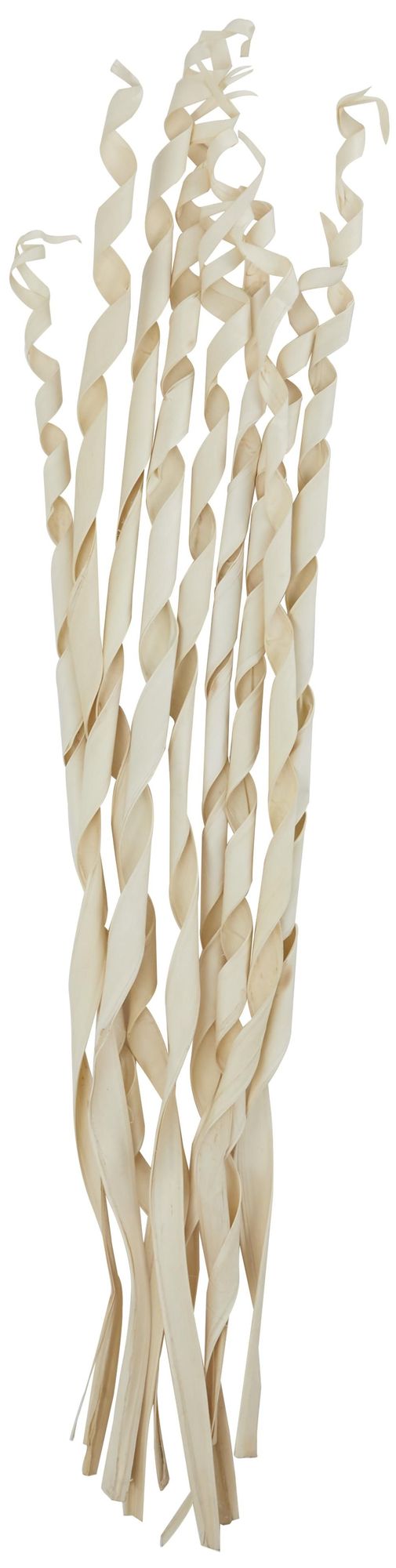 Image 4 Cream Palm Leaf Traditional Natural Foliage, 8" x 3" x 45" more views