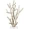Cream Polystone Coastal Sculpture, 9" x 4" x 14"