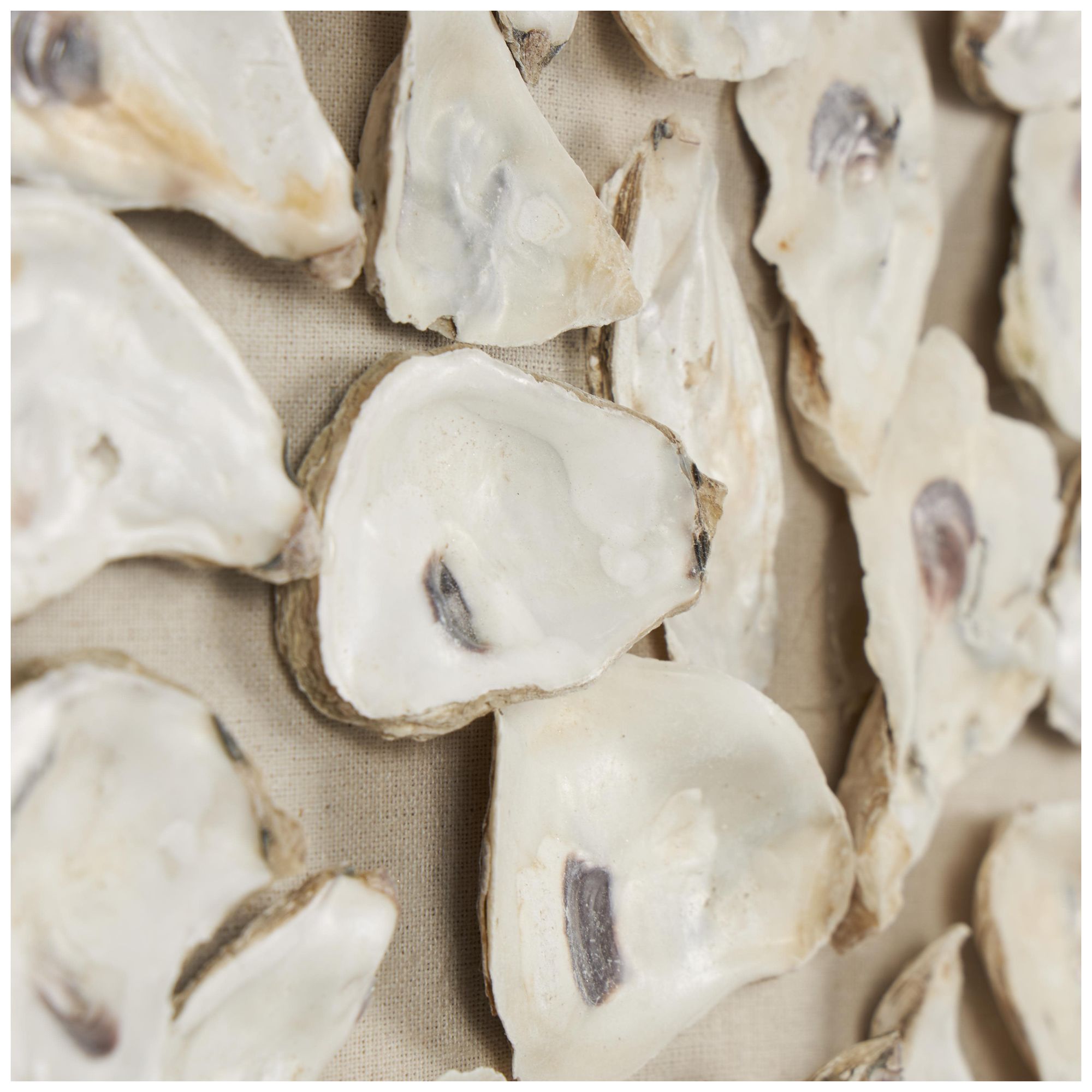 Image 4 Cream Shell Nautical Wall Decor, 19" x 2" x 19" more views