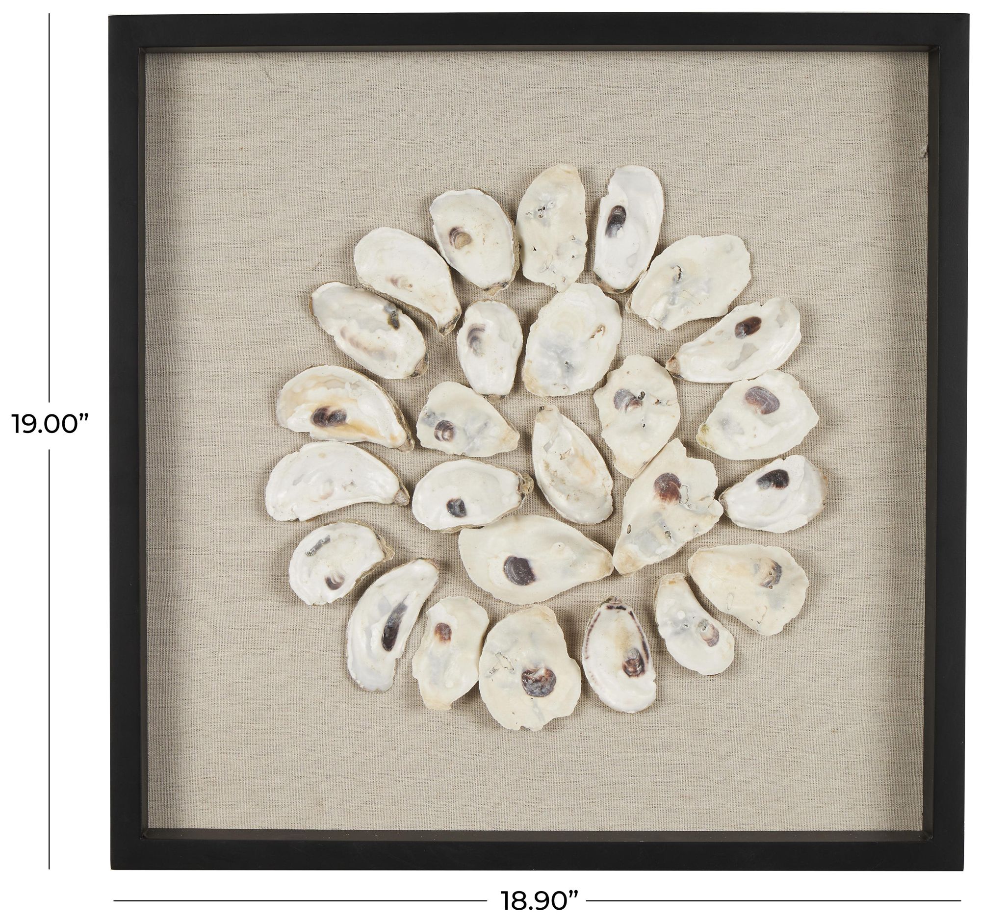 Image 7 Cream Shell Nautical Wall Decor, 19" x 2" x 19" more views