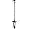 Cresleigh 21 1/4"H Black and Silver Outdoor Hanging Light