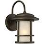 Cressona 12" High Oil-Rubbed Bronze Outdoor Wall Light