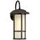 Cressona 15 1/2" High Oil-Rubbed Bronze Outdoor Wall Light