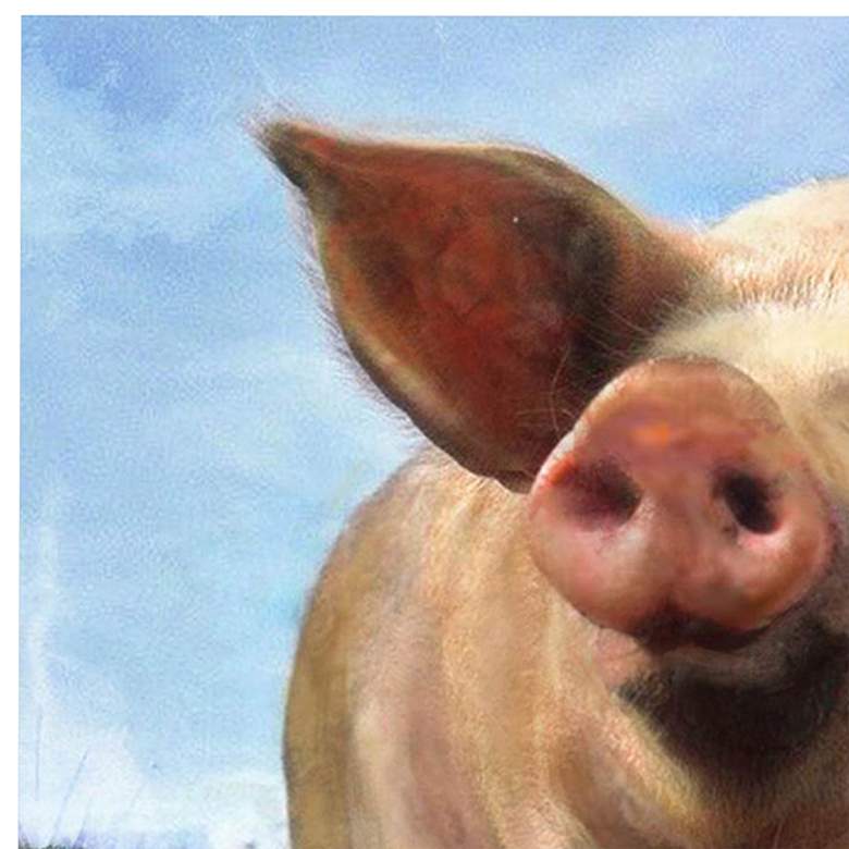 Image 2 Crestview Collection Pig Out 40 inch Square Canvas Wall Art more views