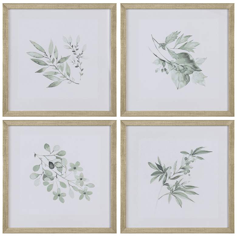 Image 1 Crestview Collection Sage Foilage Framed Art Set of 4