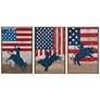 Crestview Collection This Ain&#39;t My First Rodeo Framed Burlap Painting S