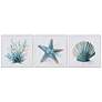 Crestview Collection Under the Sea Framed Canvas Painting Set of 3
