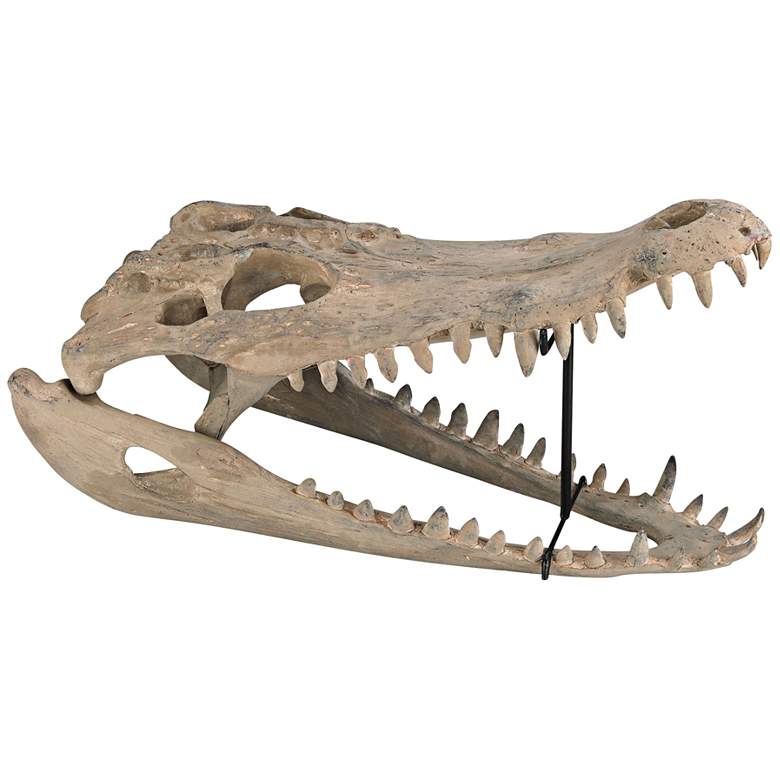 Image 1 Cretaceous 22 inch Wide Aged Bone Gator Skull Figurine
