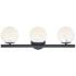 Crown 25" Wide Matte Black 3-Light Vanity Bath Light