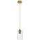 Crown Point 3.88" Wide Brushed Brass Cord Hung Pendant With Seedy Shad