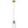 Crown Point 3.88" Wide Brushed Brass Cord Hung Pendant With Seedy Shad