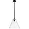 Crown Point Berkshire 12"W Matte Black Stem Pendant With Clear Shade