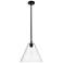 Crown Point Berkshire 12"W Matte Black Stem Pendant With Seedy Shade