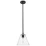 Crown Point Berkshire 8"W Matte Black Stem Pendant With Seedy Shade