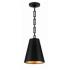 Crystorama Alston 10" Wide Matte Black 2-Light Mini Chandelier