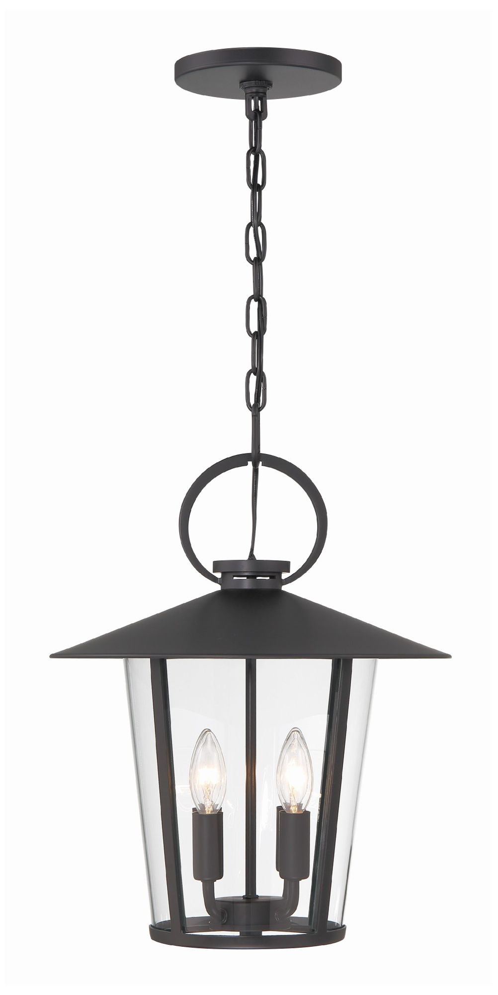 Crystorama Andover 14'' Matte Black Outdoor Pendant