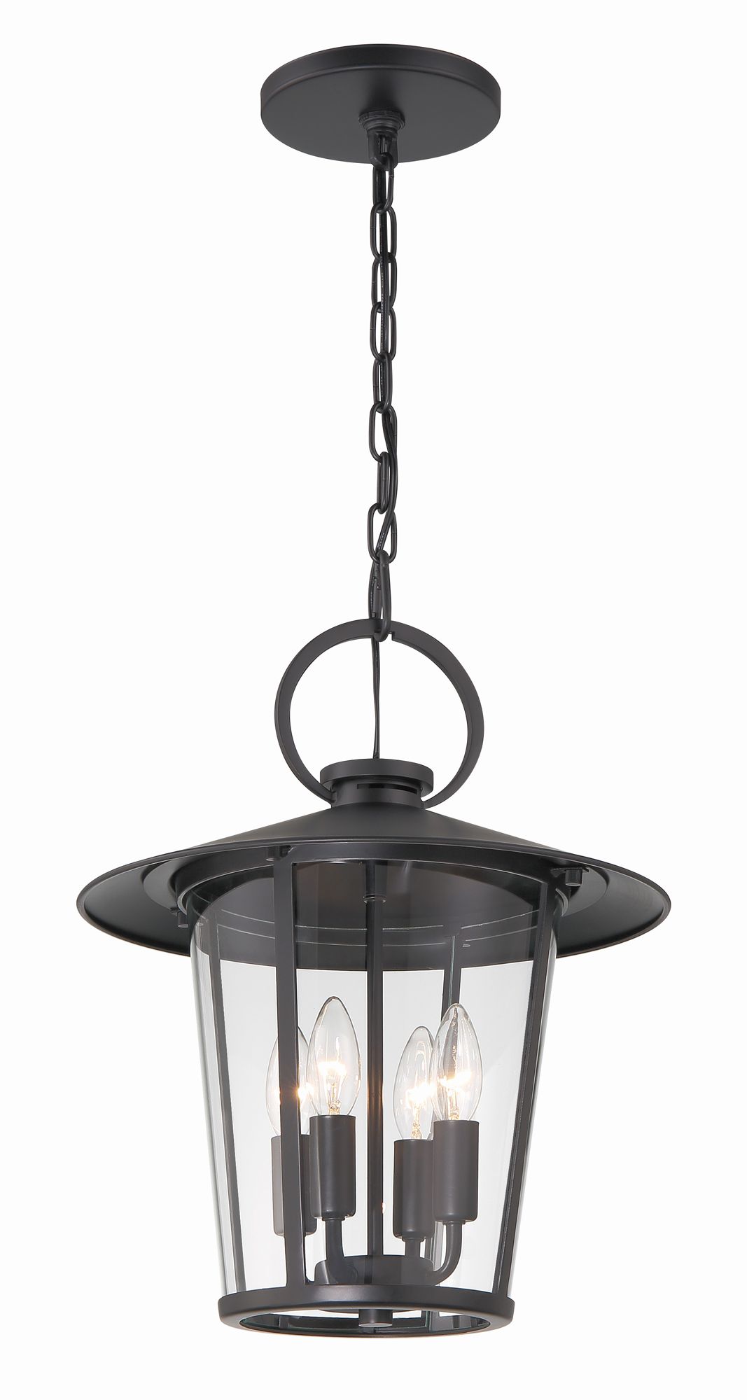 Image 2 Crystorama Andover 14'' Matte Black Outdoor Pendant more views