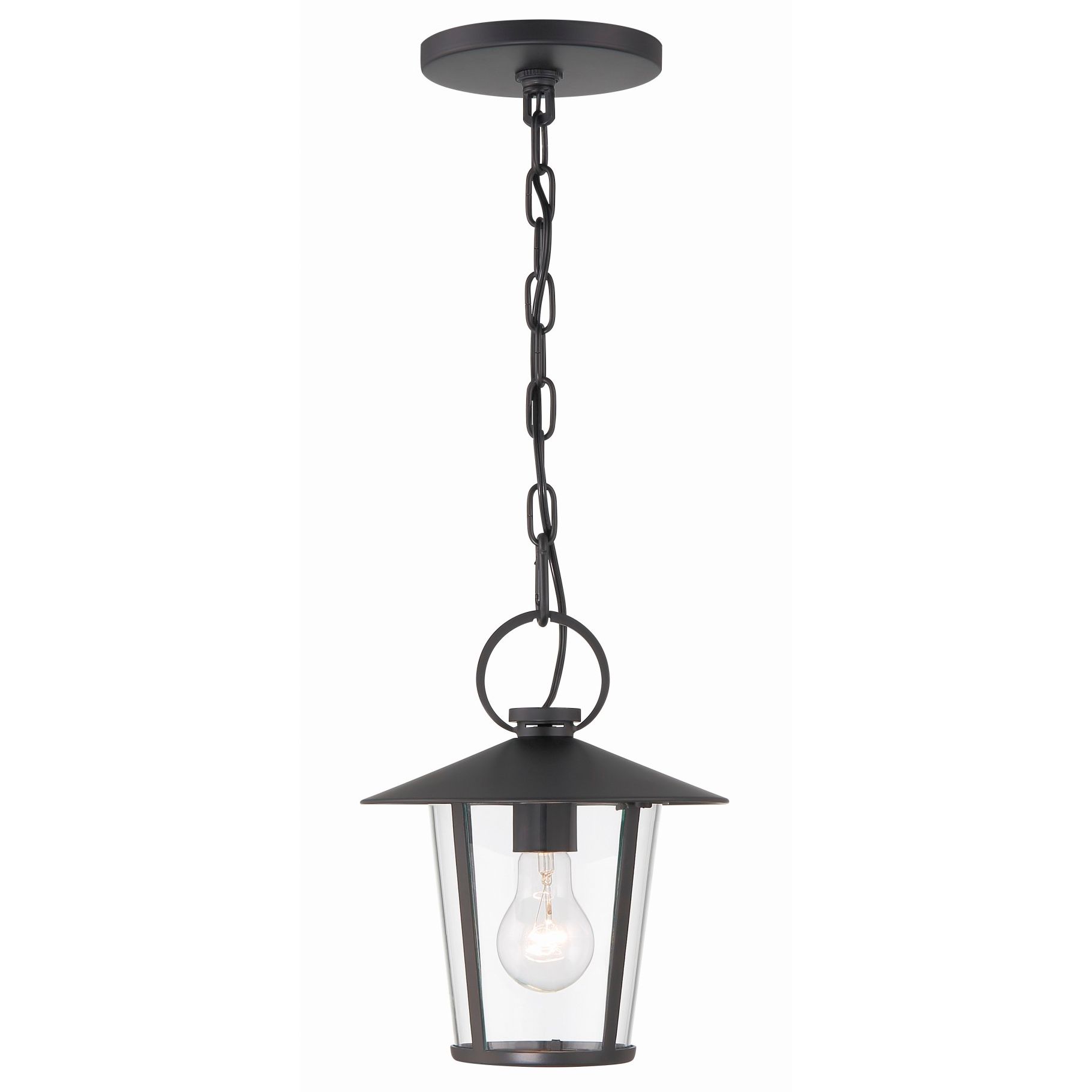 Crystorama Andover 9'' Matte Black Outdoor Pendant