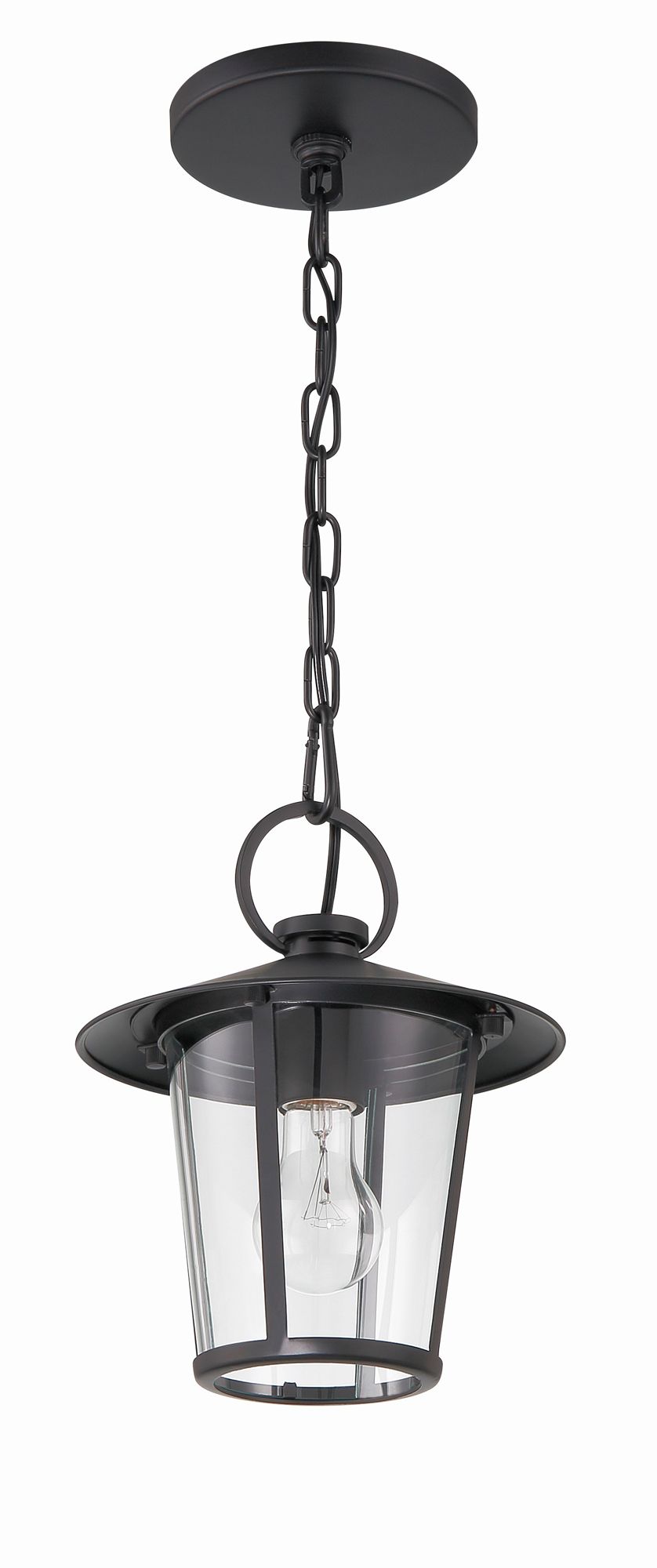 Image 2 Crystorama Andover 9'' Matte Black Outdoor Pendant more views