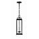 Crystorama Aspen 4 Light Matte Black Outdoor Pendant