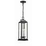 3_Crystorama Aspen 4 Light Matte Black Outdoor Pendant more views