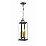 4_Crystorama Aspen 4 Light Matte Black Outdoor Pendant more views