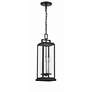 5_Crystorama Aspen 4 Light Matte Black Outdoor Pendant more views