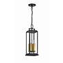 6_Crystorama Aspen 4 Light Matte Black Outdoor Pendant more views