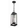 7_Crystorama Aspen 4 Light Matte Black Outdoor Pendant more views