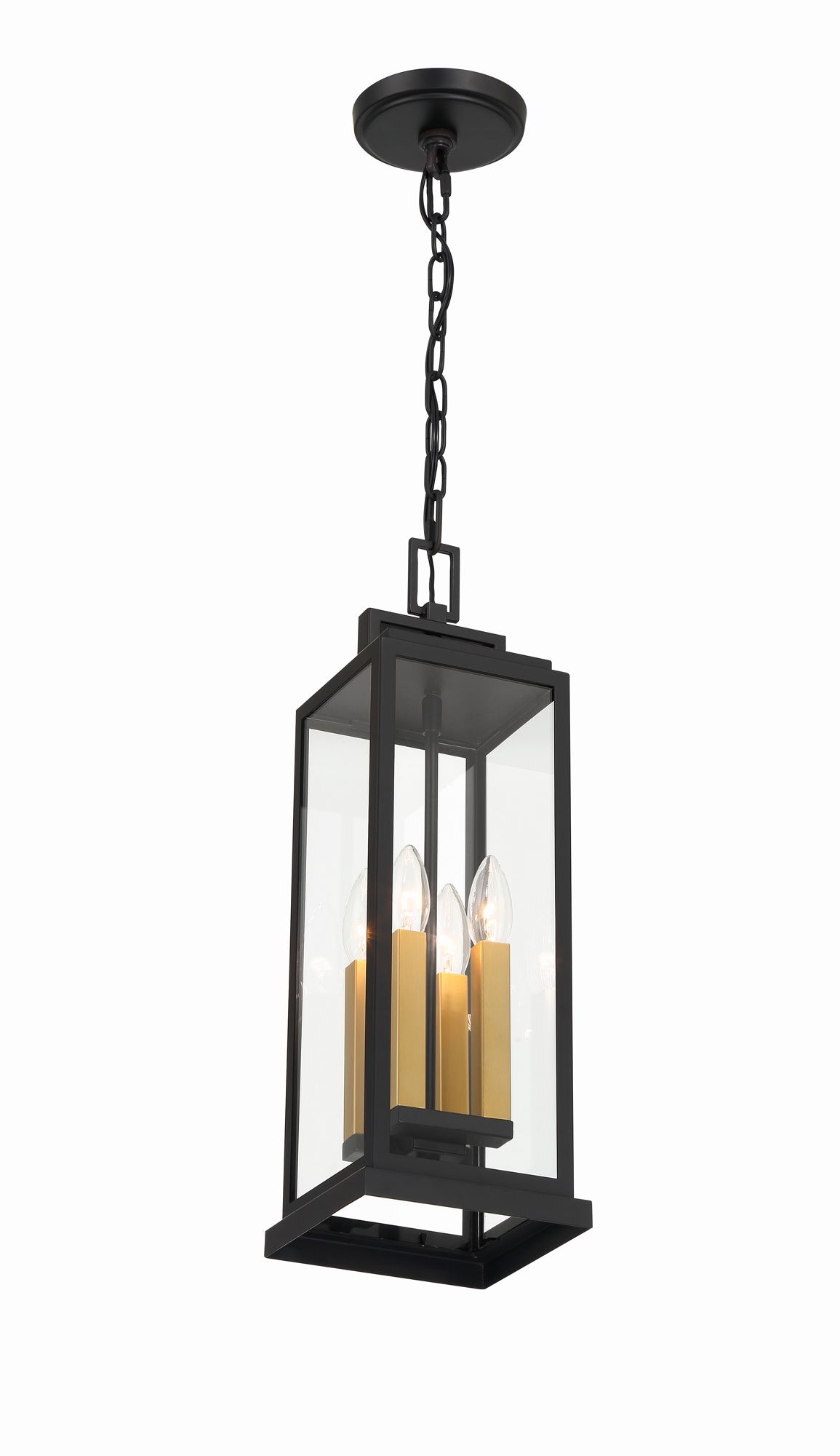 Crystorama Aspen 4 Light Matte Black Outdoor Pendant