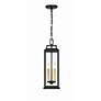 Crystorama Aspen 4 Light Matte Black Outdoor Pendant