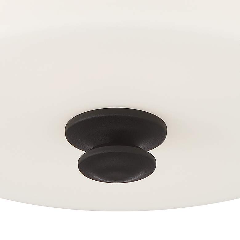 Image 5 Crystorama Travis 12 1/2" Wide Black Forged Ceiling Light more views