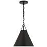 2_Crystorama Xavier 12" Wide Matte Black Mini Pendant