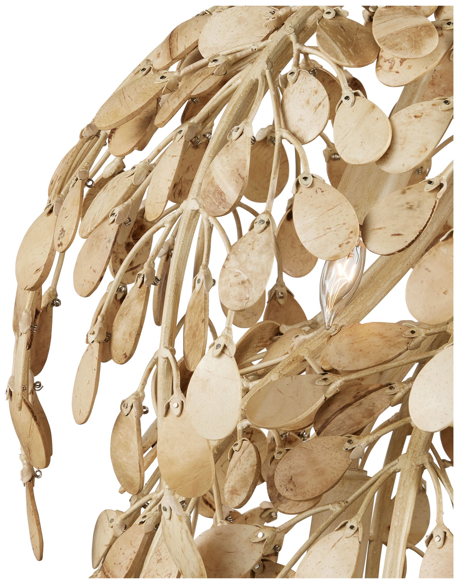 Image 2 Currey & Company 20" Maypan 6-Light Coco Shell Pendant more views