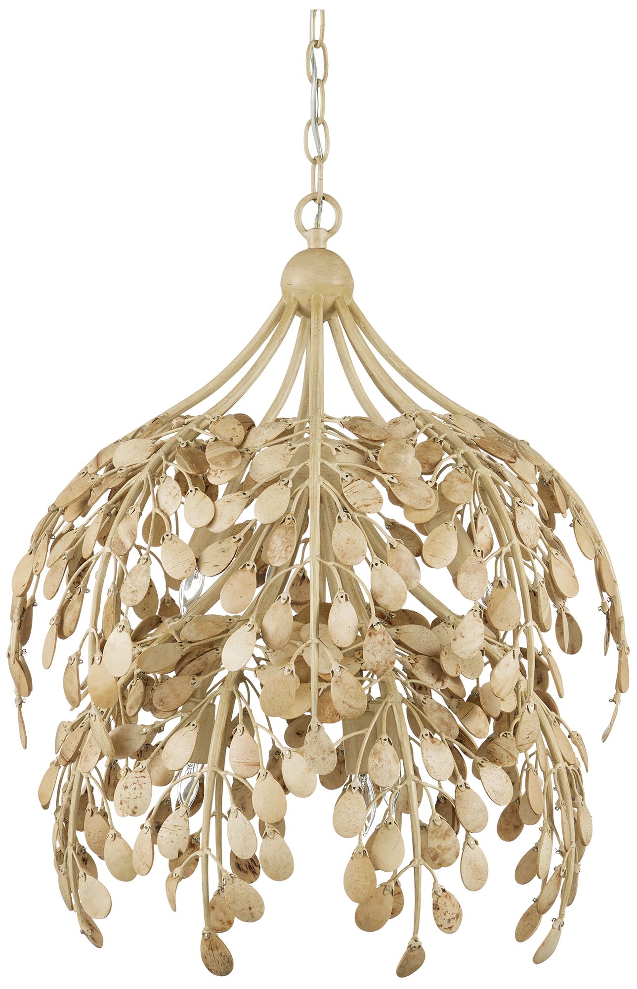 Image 4 Currey & Company 20" Maypan 6-Light Coco Shell Pendant more views