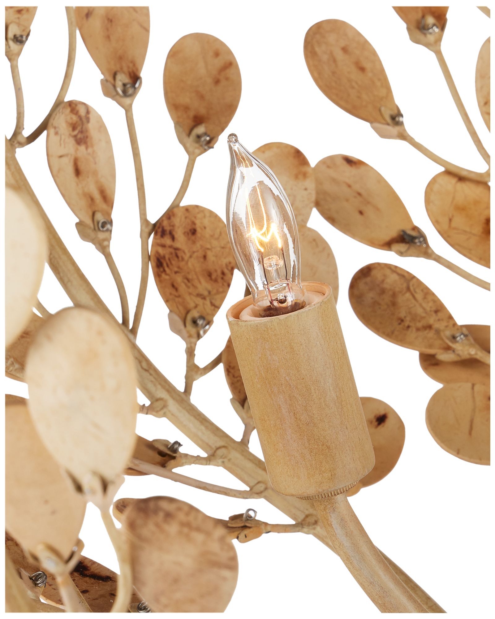 Image 3 Currey & Company 23.5" Maypan 4-Light Coco Shell Chandelier more views