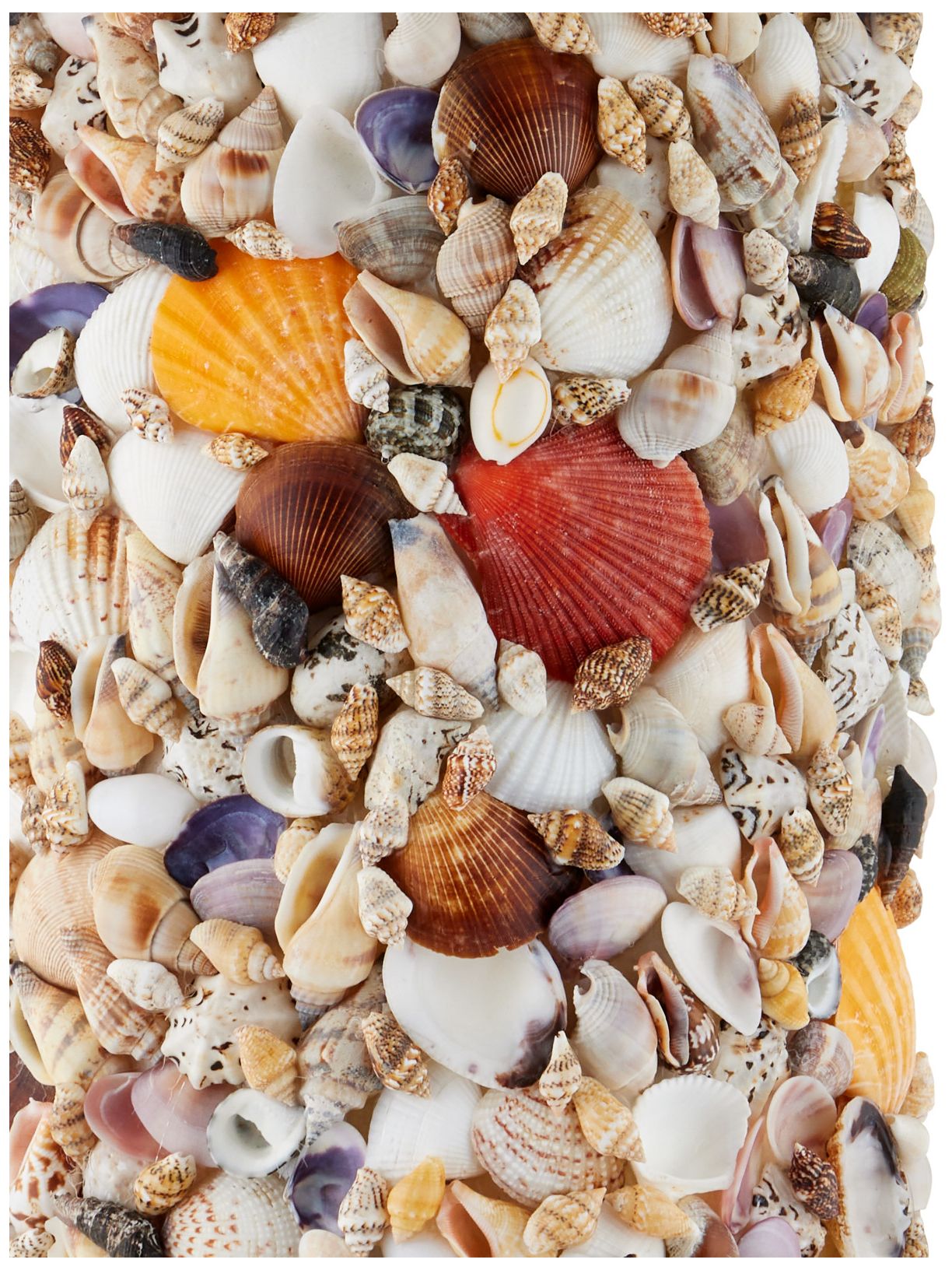 Image 2 Currey & Company 32.5" Festoon Multi-Color Shell Table Lamp more views