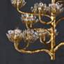 6_Currey & Company Agave Americana 42" 22-Light Gold Leaf Chandelier more views