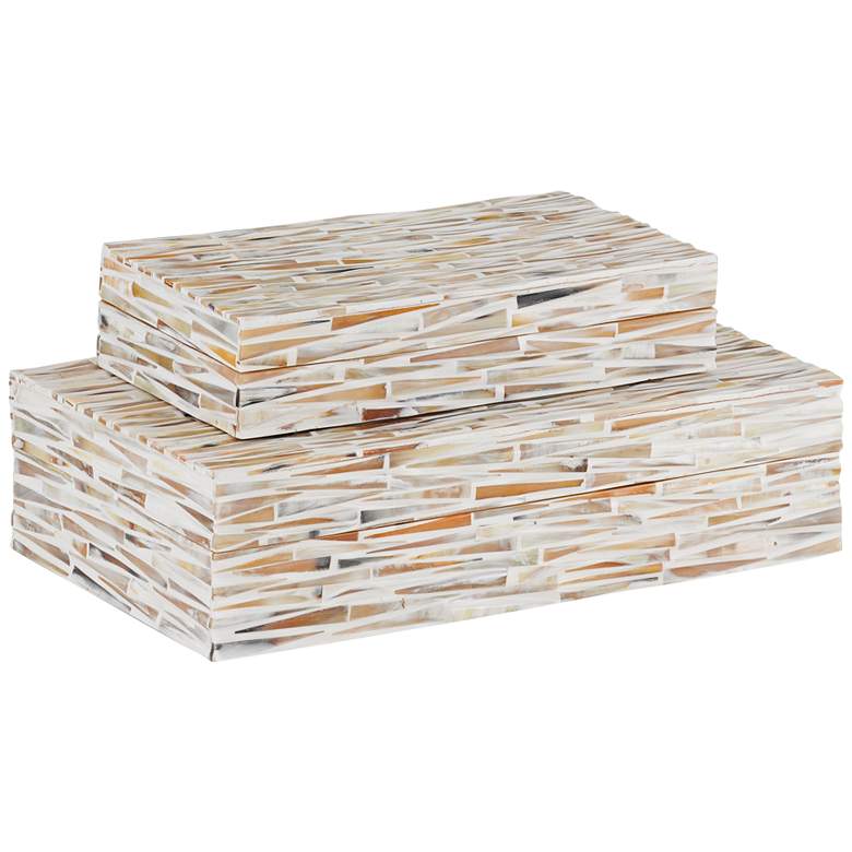 Image 1 Currey and Company Aquila Natural and White Boxes Set of 2