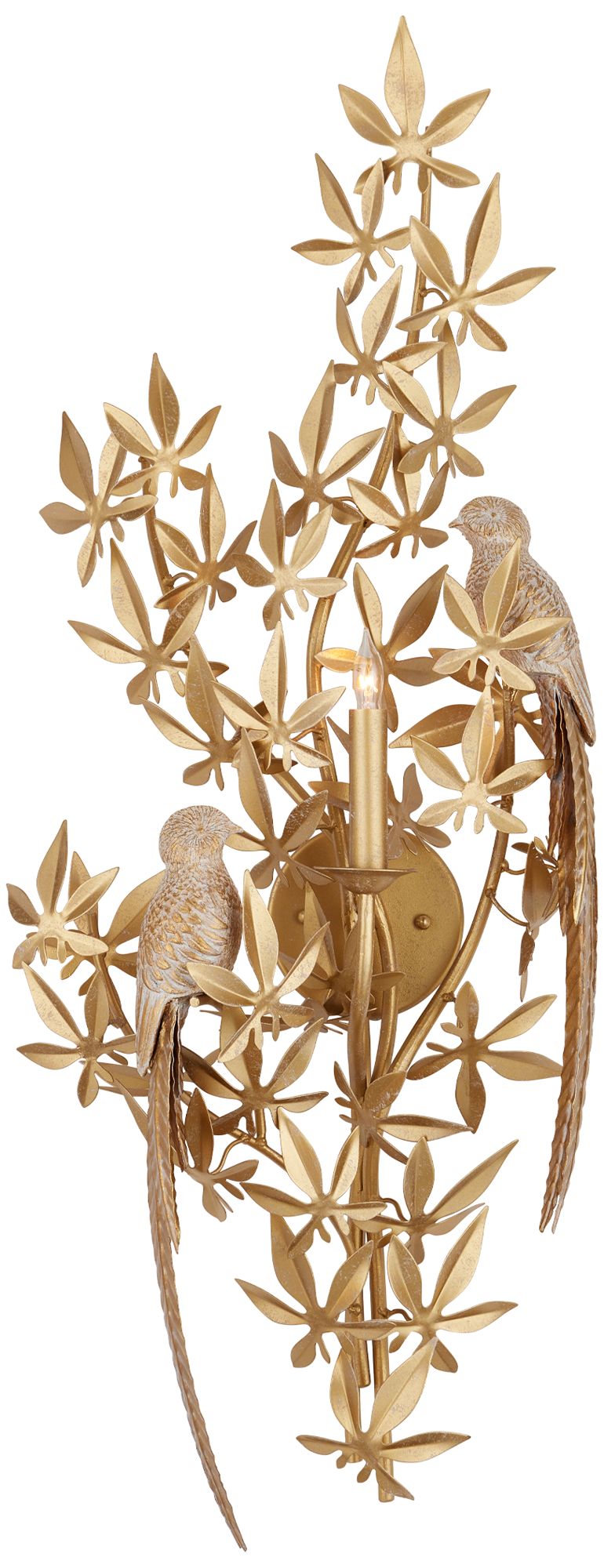 Currey & Company Aviary Gold 1-Light Wal