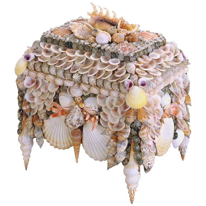 Image 1 Currey and Company Boardwalk Natural Shell Jewelry Box