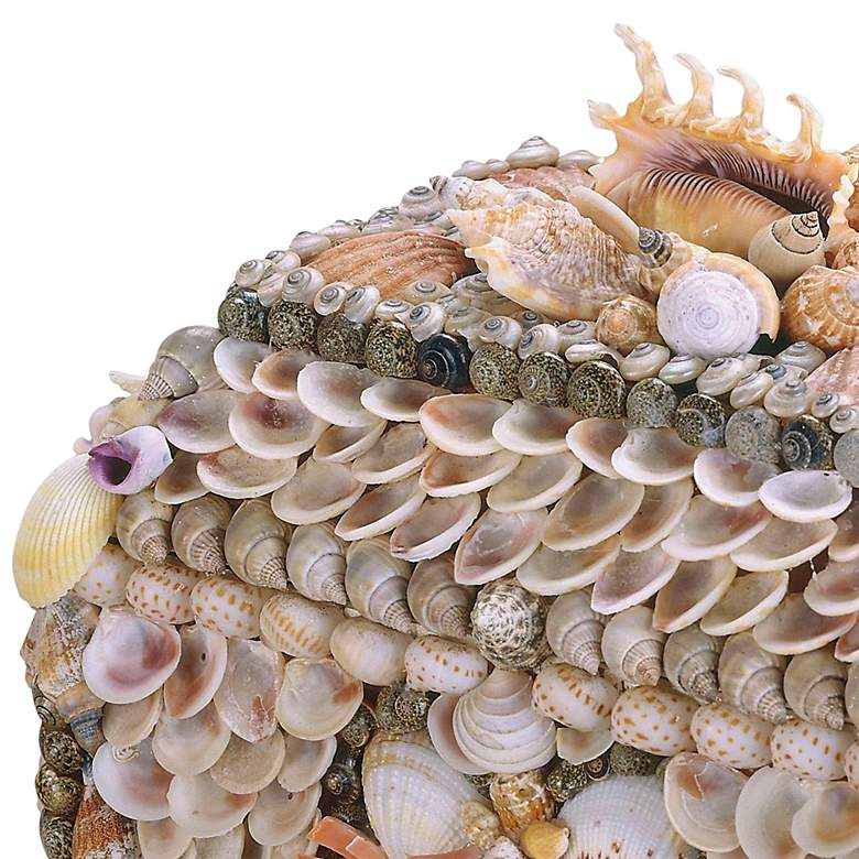 Image 2 Currey and Company Boardwalk Natural Shell Jewelry Box more views